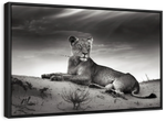 Lioness Wall Art