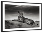Lioness Wall Art
