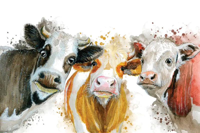 Livestock Cows Splash Wall Art