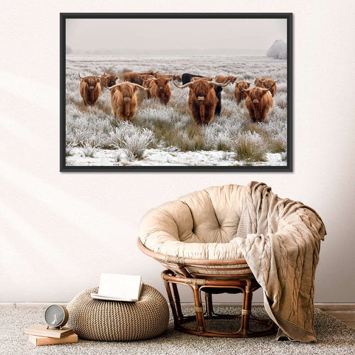 Winter Highland Cows Wall Art