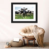 Holstein Cows Wall Art