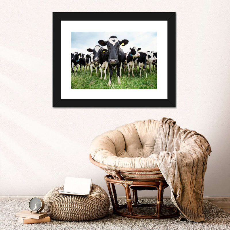 Holstein Cows Wall Art