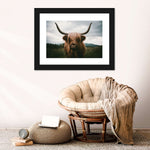 Open Field Highland Cow Wall Art