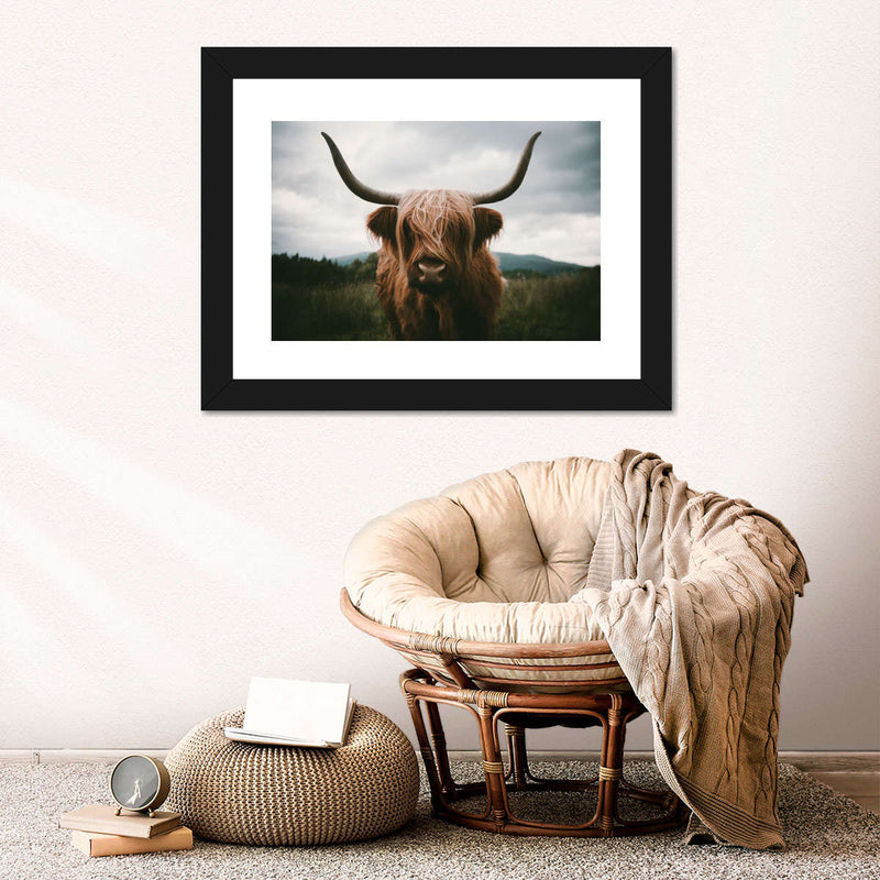 Open Field Highland Cow Wall Art