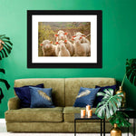 Stunned Sheep Wall Art