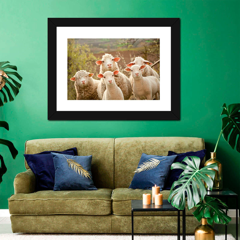 Stunned Sheep Wall Art