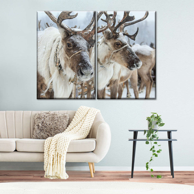 Snow Reindeer Wall Art