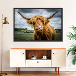 Silly Highland Cow Wall Art