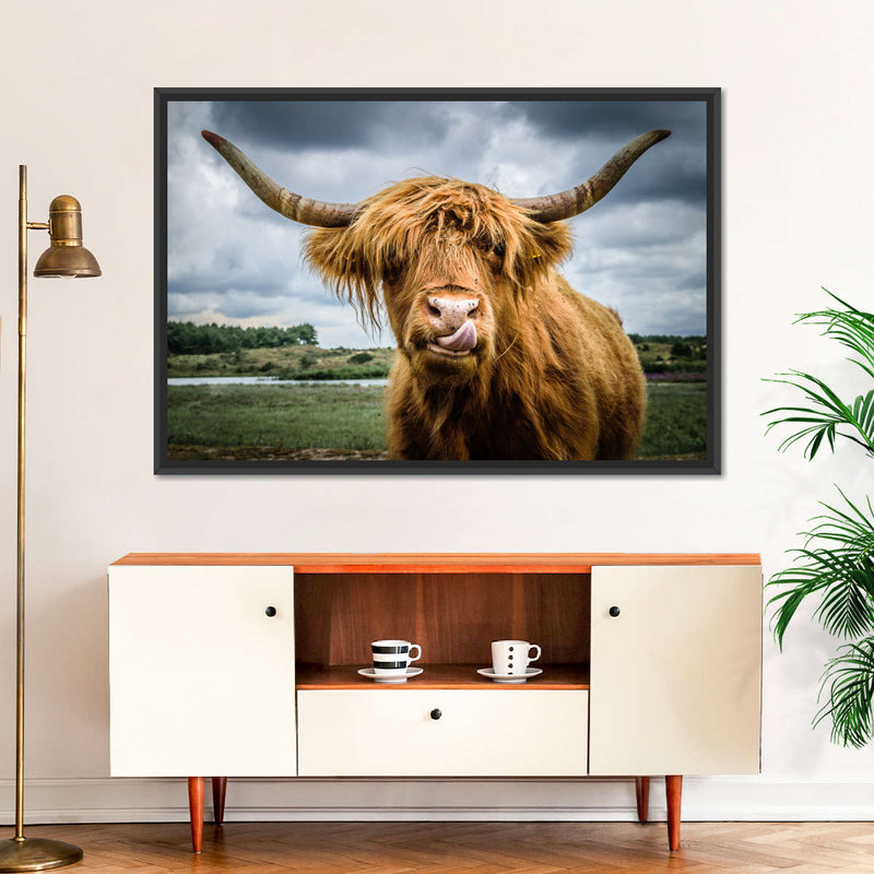 Silly Highland Cow Wall Art
