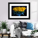 Sunflower Side View Wall Art