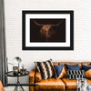 Handsome Highland Cow Wall Art