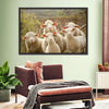 Stunned Sheep Wall Art