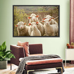 Stunned Sheep Wall Art