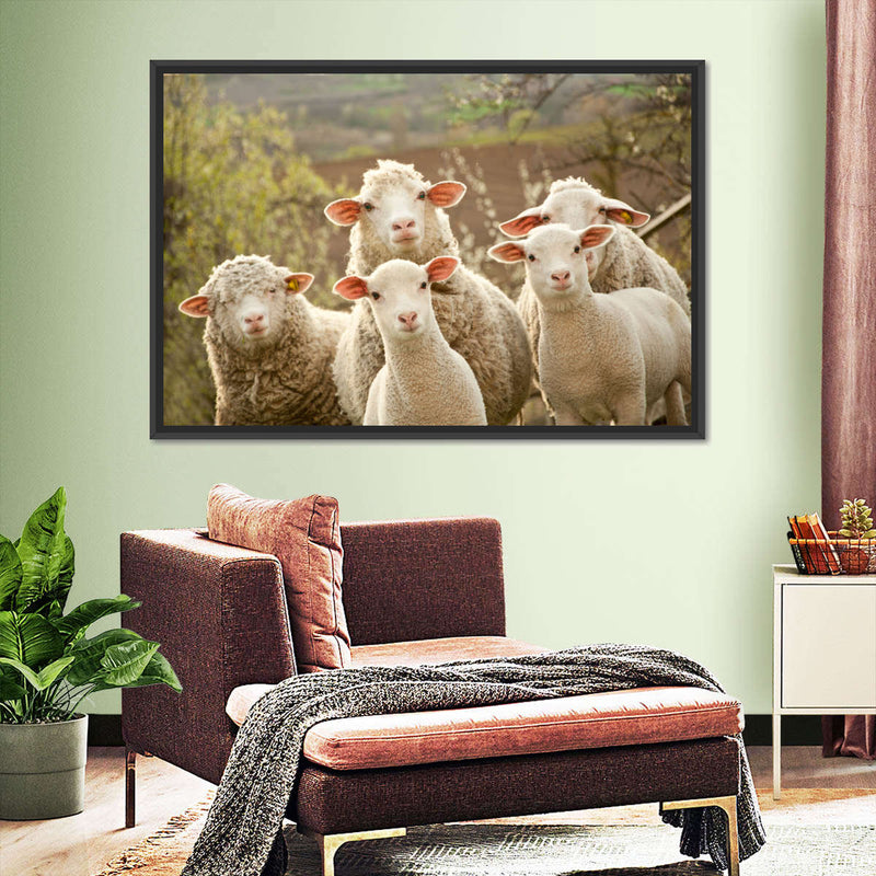 Stunned Sheep Wall Art