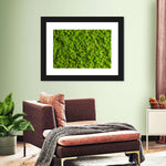 Green Reindeer Moss Wall Art