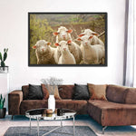 Stunned Sheep Wall Art