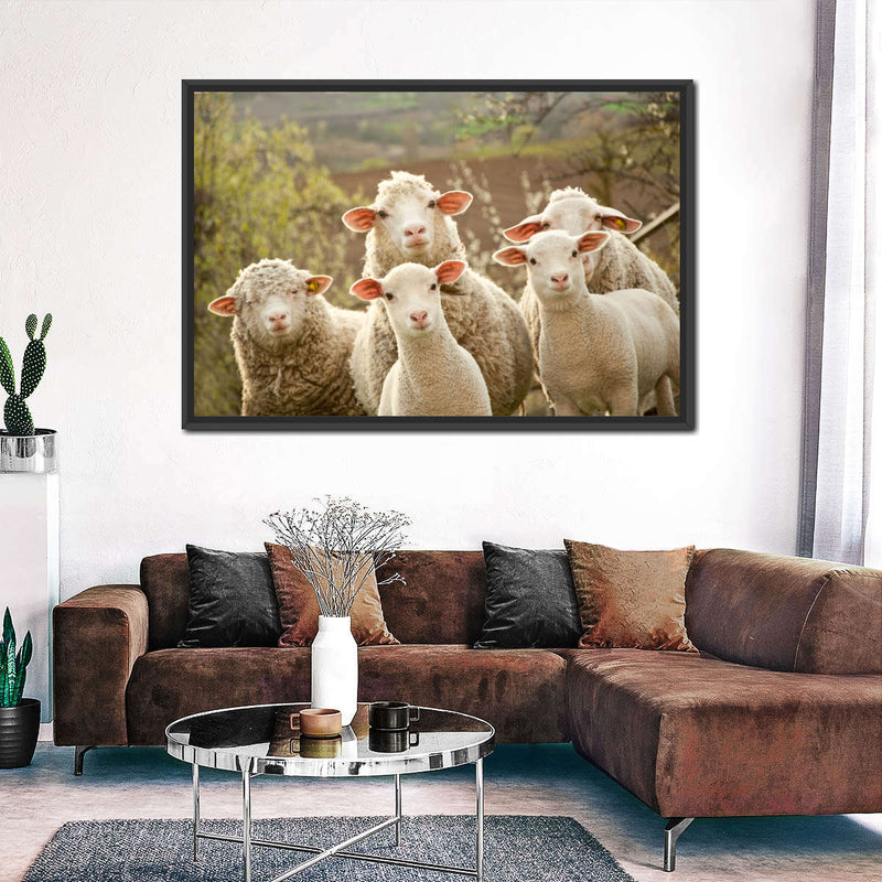Stunned Sheep Wall Art