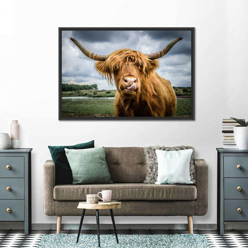 Silly Highland Cow Wall Art