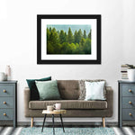 Lush Green Pine Trees Wall Art