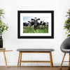 Holstein Cows Wall Art