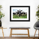 Holstein Cows Wall Art