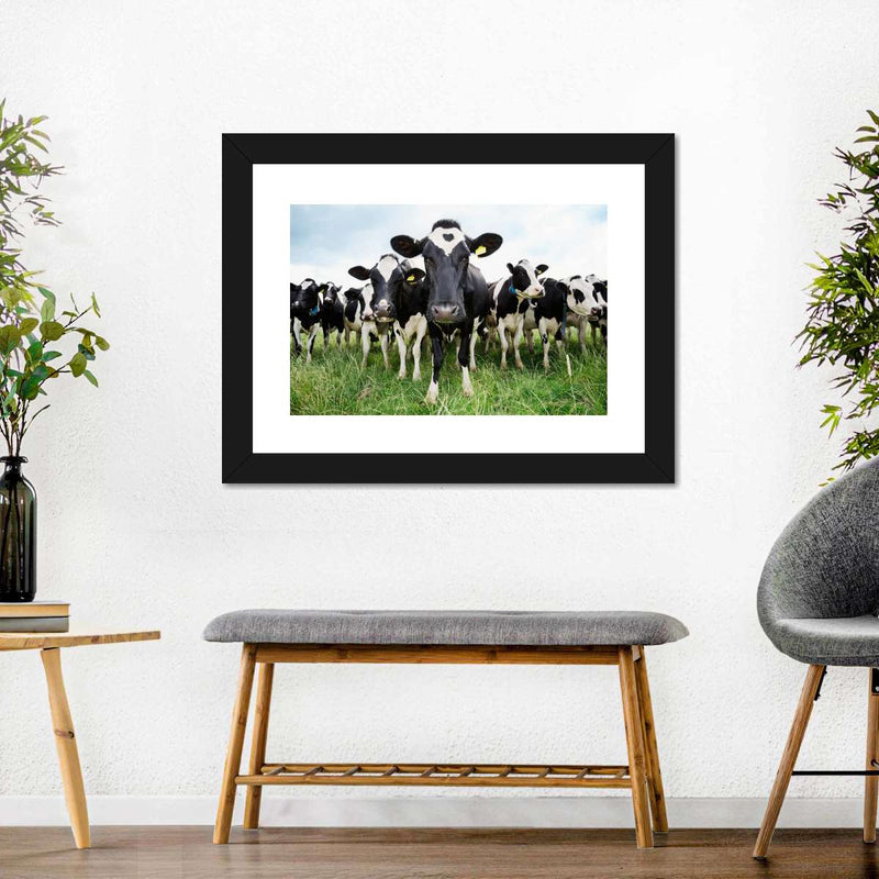 Holstein Cows Wall Art