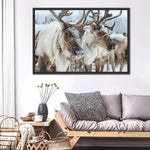 Snow Reindeer Wall Art