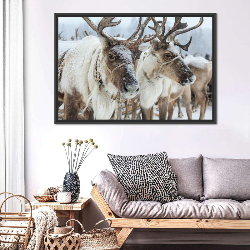 Snow Reindeer Wall Art