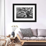Monochrome Angel Oak Tree Wall Art