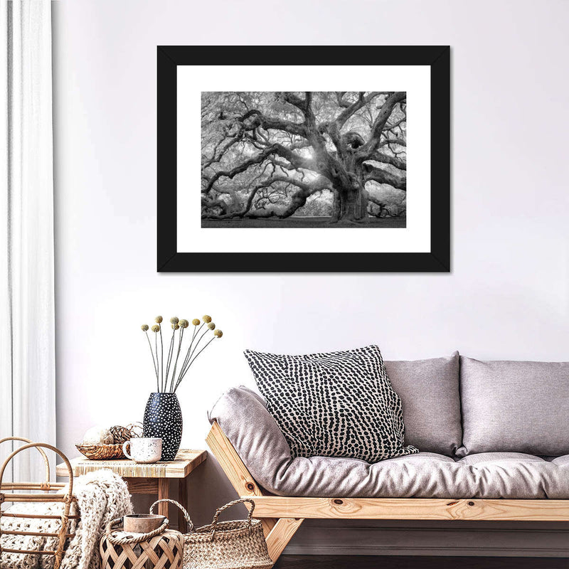 Monochrome Angel Oak Tree Wall Art