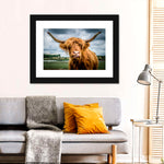 Silly Highland Cow Wall Art