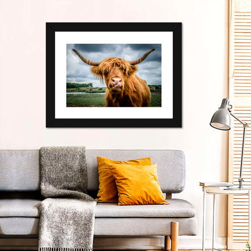 Silly Highland Cow Wall Art