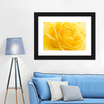 Yellow Rose Petals Wall Art