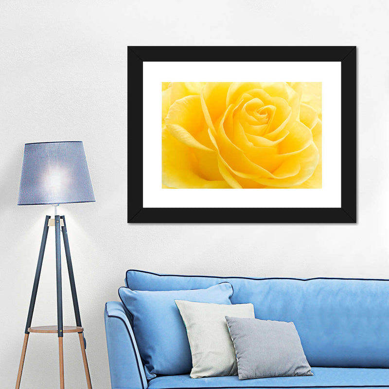 Yellow Rose Petals Wall Art