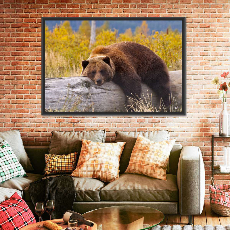 Resting Grizzly Bear Wall Art