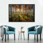 Swedish Birch Forest Wall Art