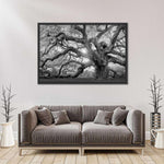 Monochrome Angel Oak Tree Wall Art