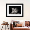 Lion And Lioness Mates Wall Art