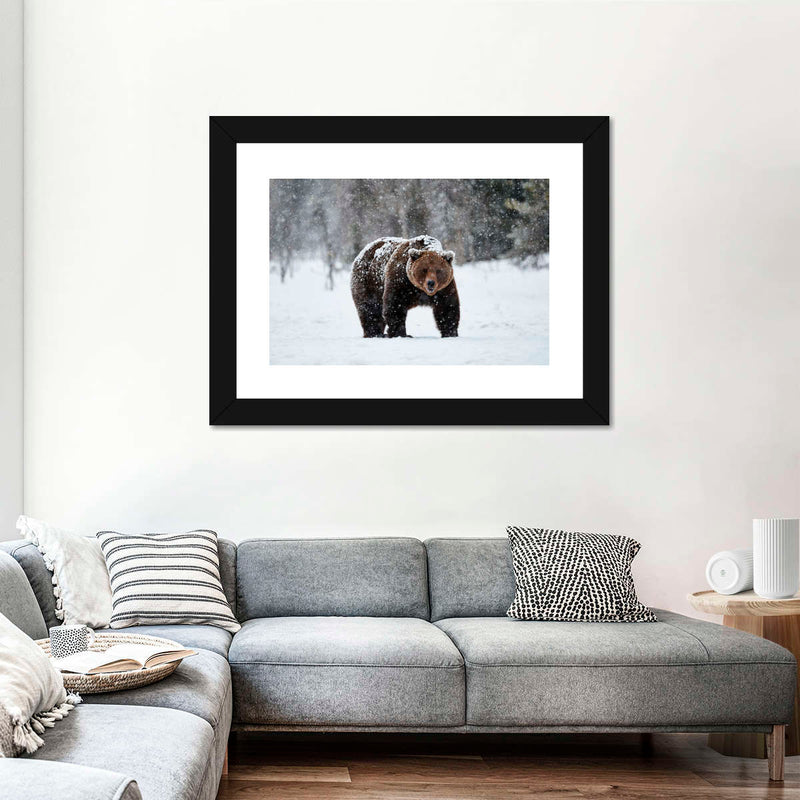 Winter Grizzly Bear Wall Art