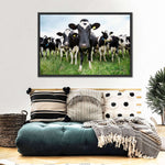 Holstein Cows Wall Art