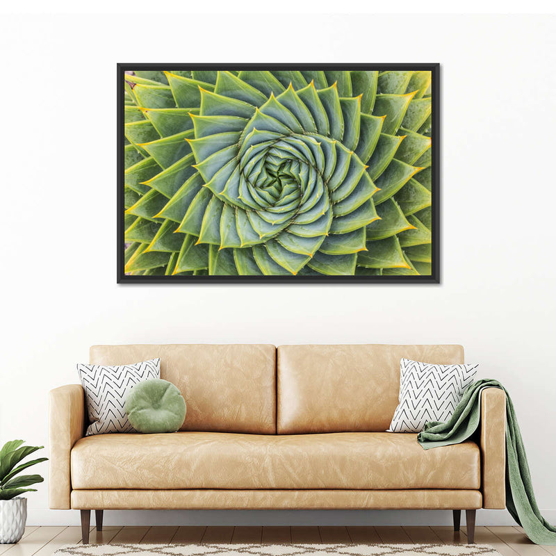 Spiral Succulent Wall Art