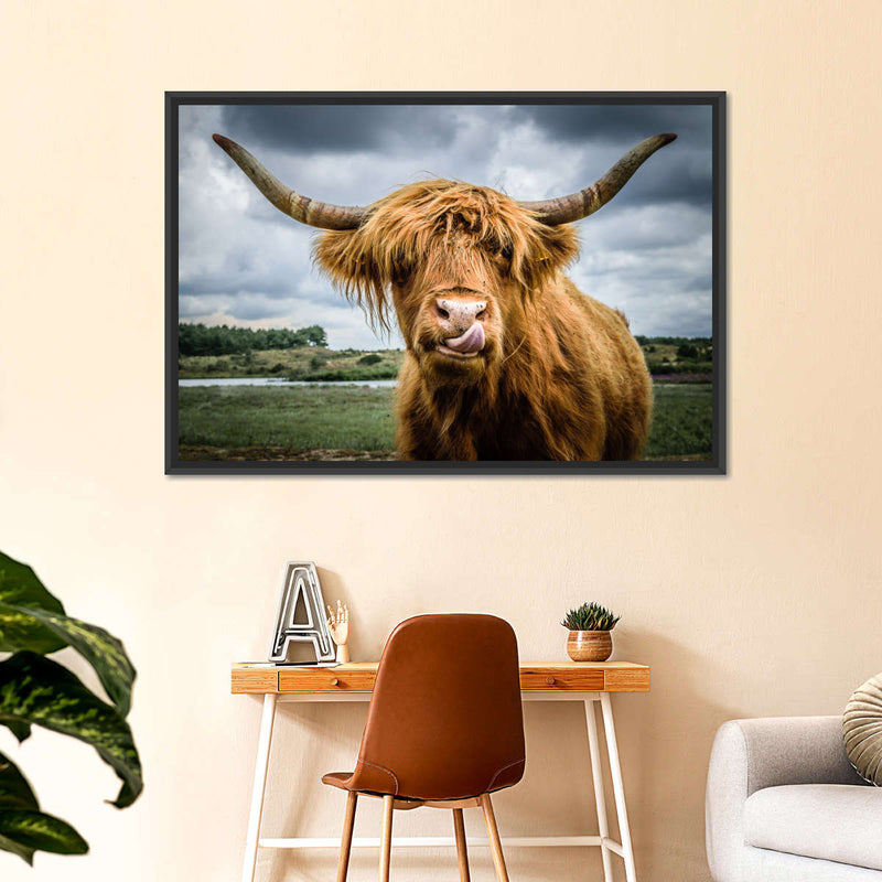 Silly Highland Cow Wall Art
