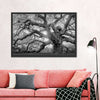 Monochrome Angel Oak Tree Wall Art