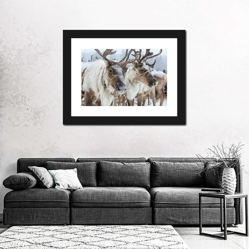 Snow Reindeer Wall Art