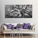 Monochrome Angel Oak Tree Wall Art