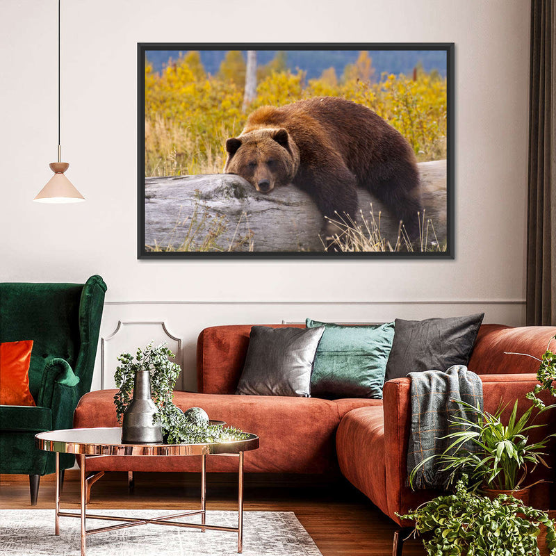 Resting Grizzly Bear Wall Art