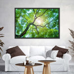 Tree Canopy Sunshine Wall Art