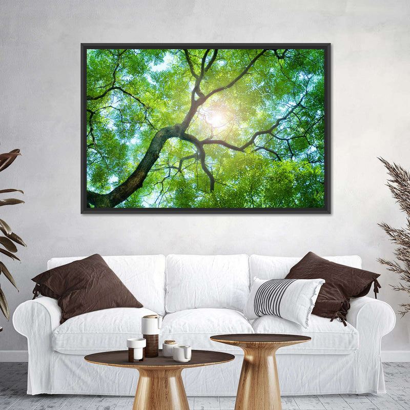 Tree Canopy Sunshine Wall Art