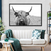 Solitary Highland Cow Wall Art