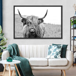 Solitary Highland Cow Wall Art
